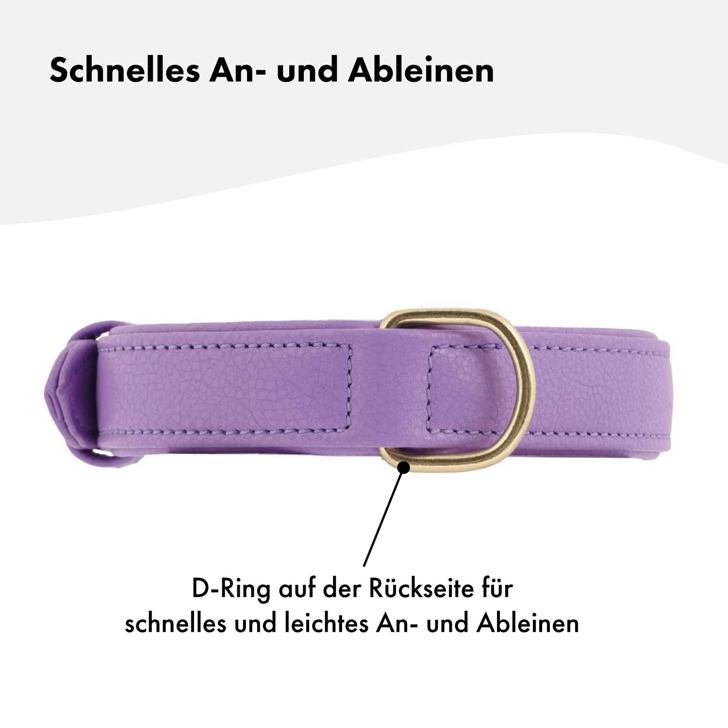 Hochwertiges Echtleder-Hundehalsband - Verstellbar, robust und ideal für kleine und große Hunde in stylischem Lila / Lavendel und mit goldenen Schnallen. 