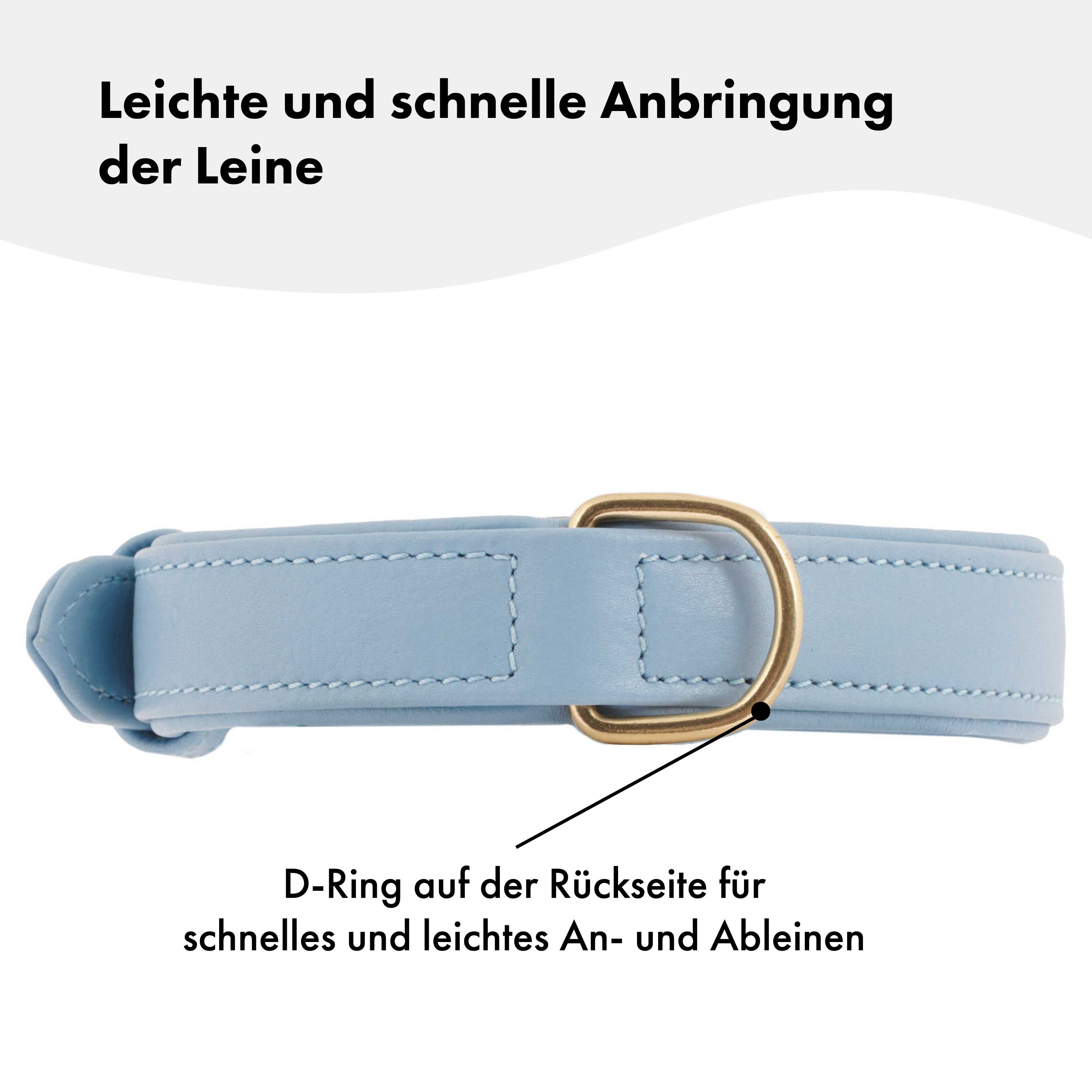 William Walker Leder Hundehalsband Sky (Baby-Blau)