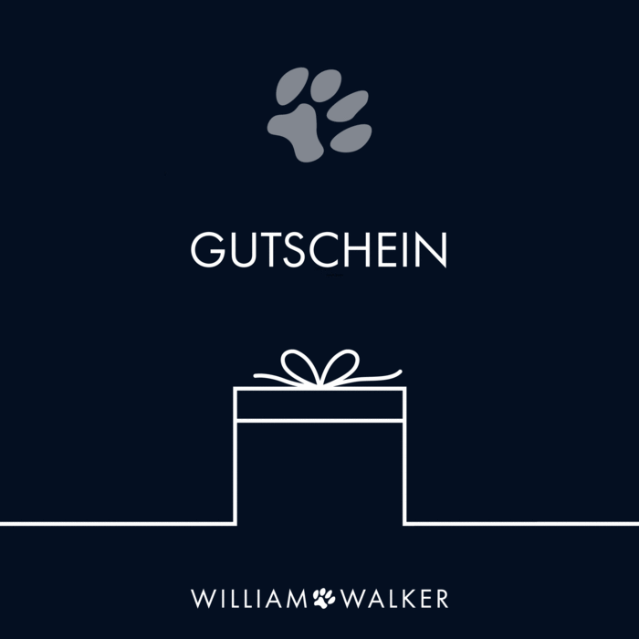 William Walker Gutschein